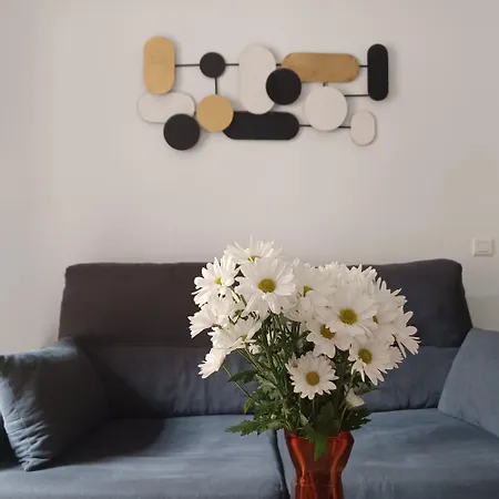Picasso's Neighbor Apartment